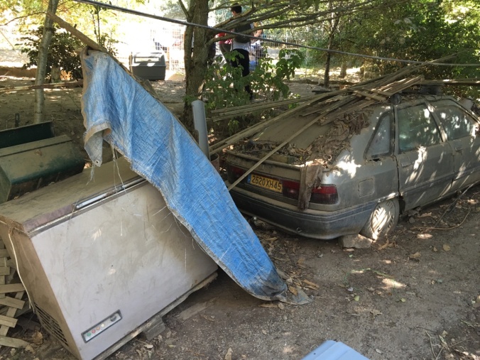 sauvetage-30-millions-amis-cockers-6