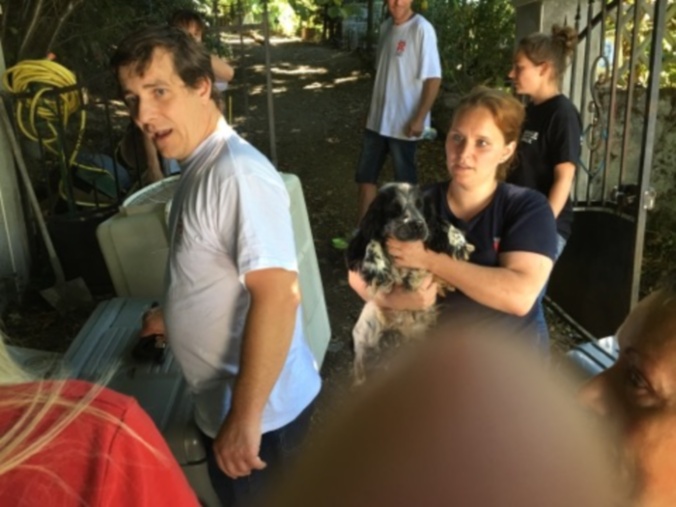 sauvetage-30-millions-amis-cockers-2