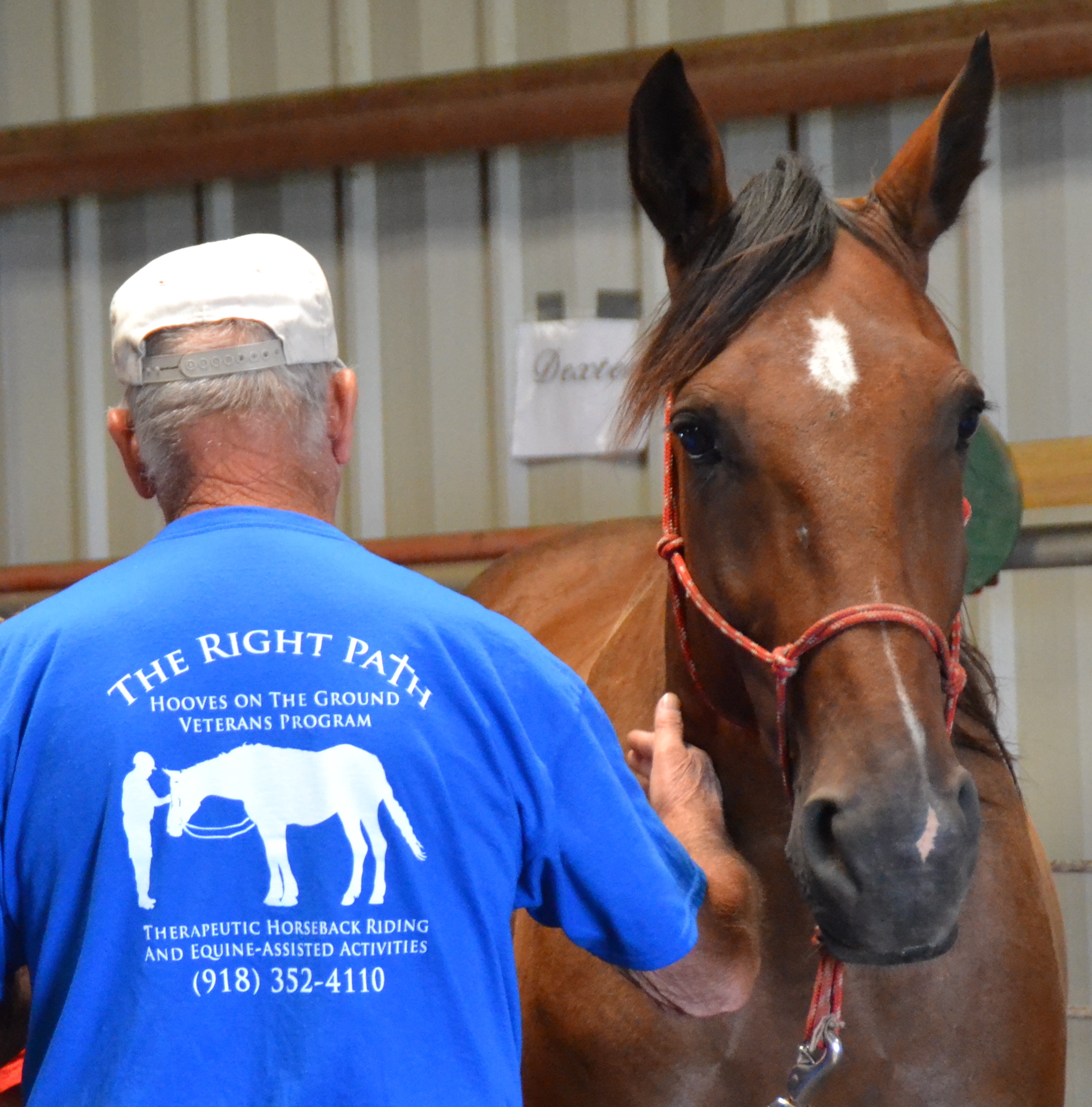horse-veterans-therapy-1