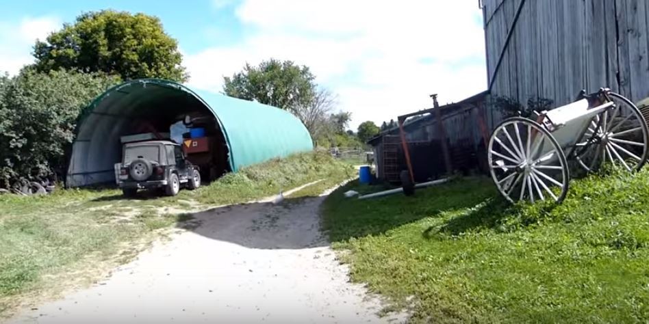 ferme-animaux-sanctuaire-3