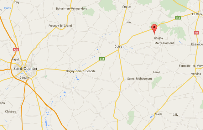 171-cadavres-animaux-4