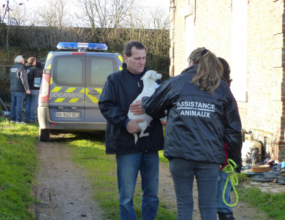 171-cadavres-animaux-1