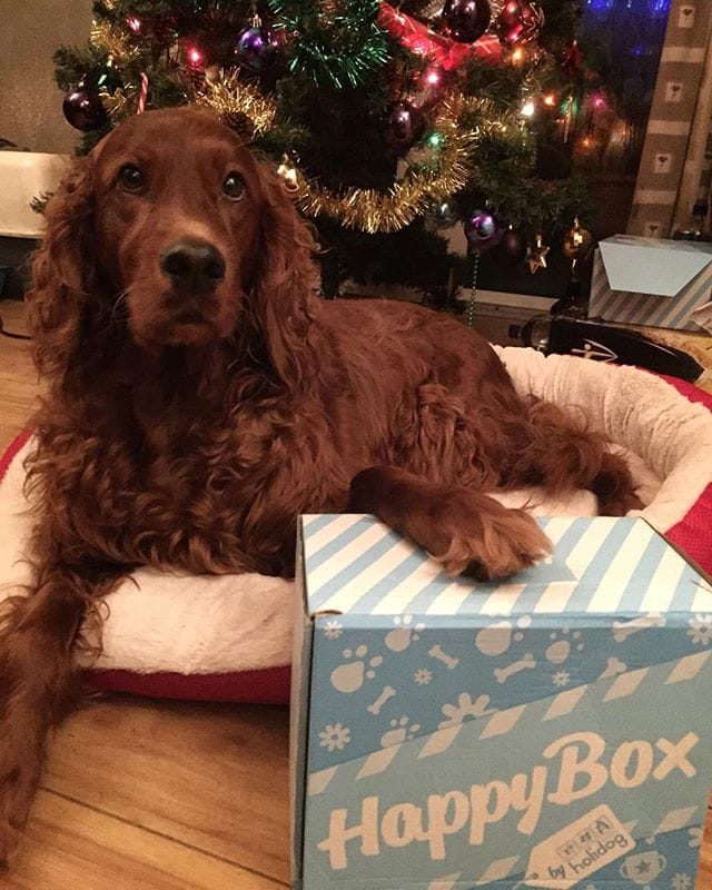 @autumns_great_adventures-1