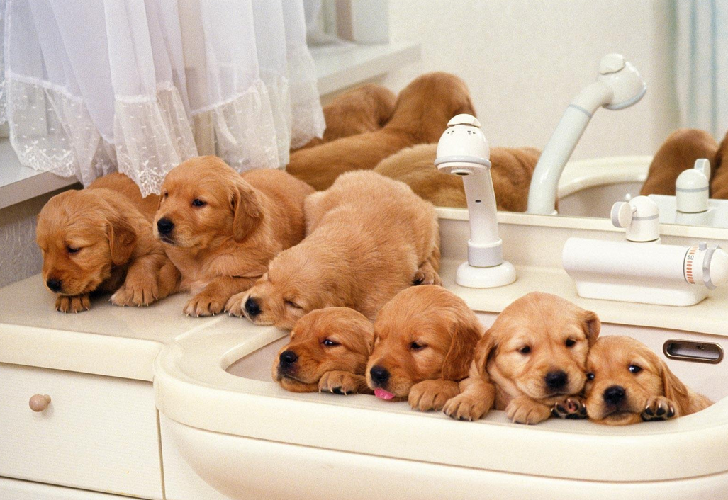 Screen Shot 2015-01-29 at 15.16.33