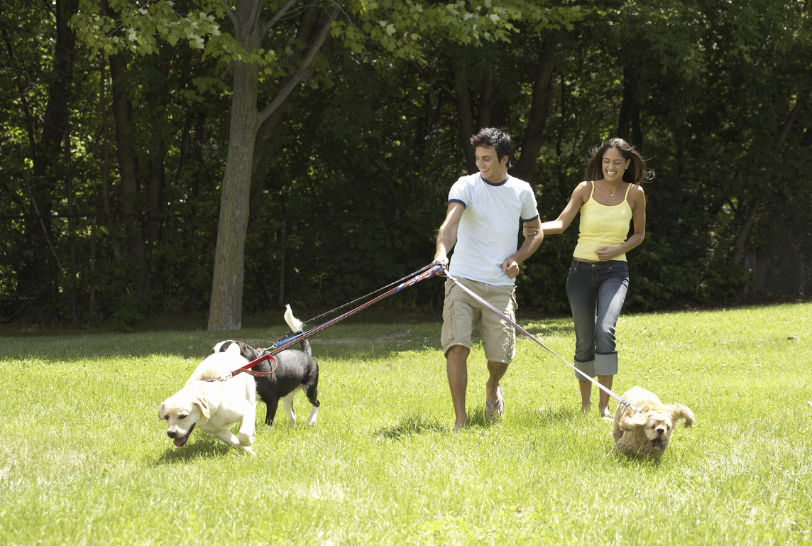 istock jogging with dog large 50 Reasons You Should Finally Get That Dog You've Always Dreamed Of BowWow Times