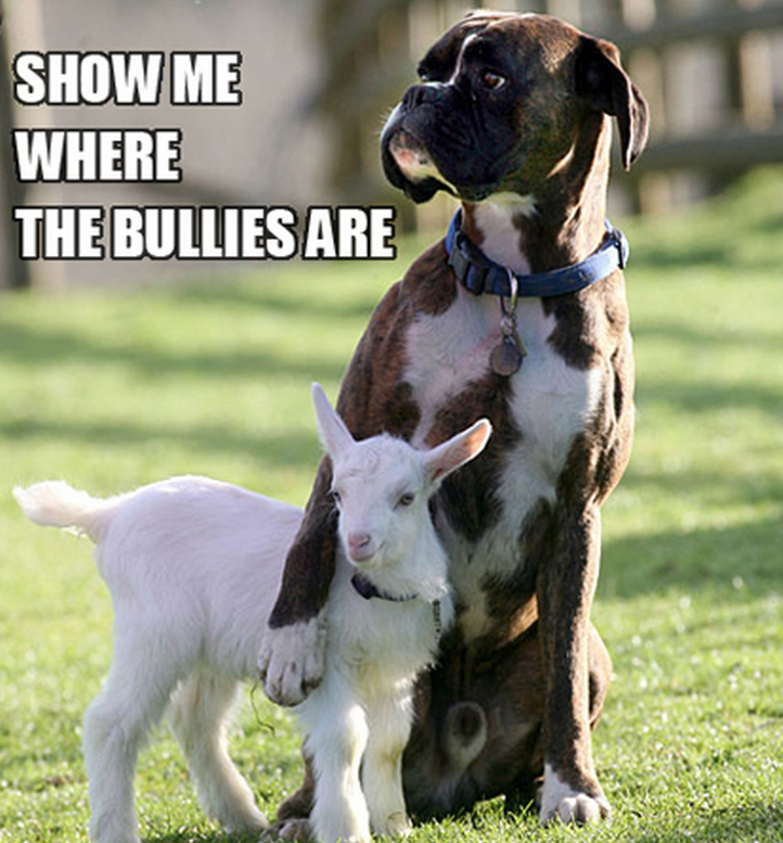 Screen Shot 2015-01-29 at 15.10.02