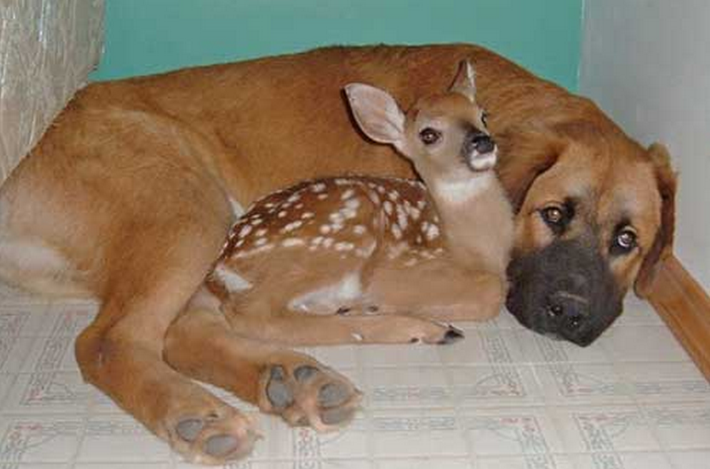 Screen Shot 2015-01-29 at 15.37.42