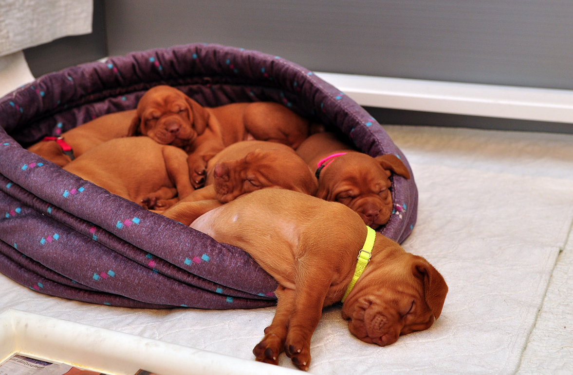 Screen Shot 2015-01-29 at 14.56.31