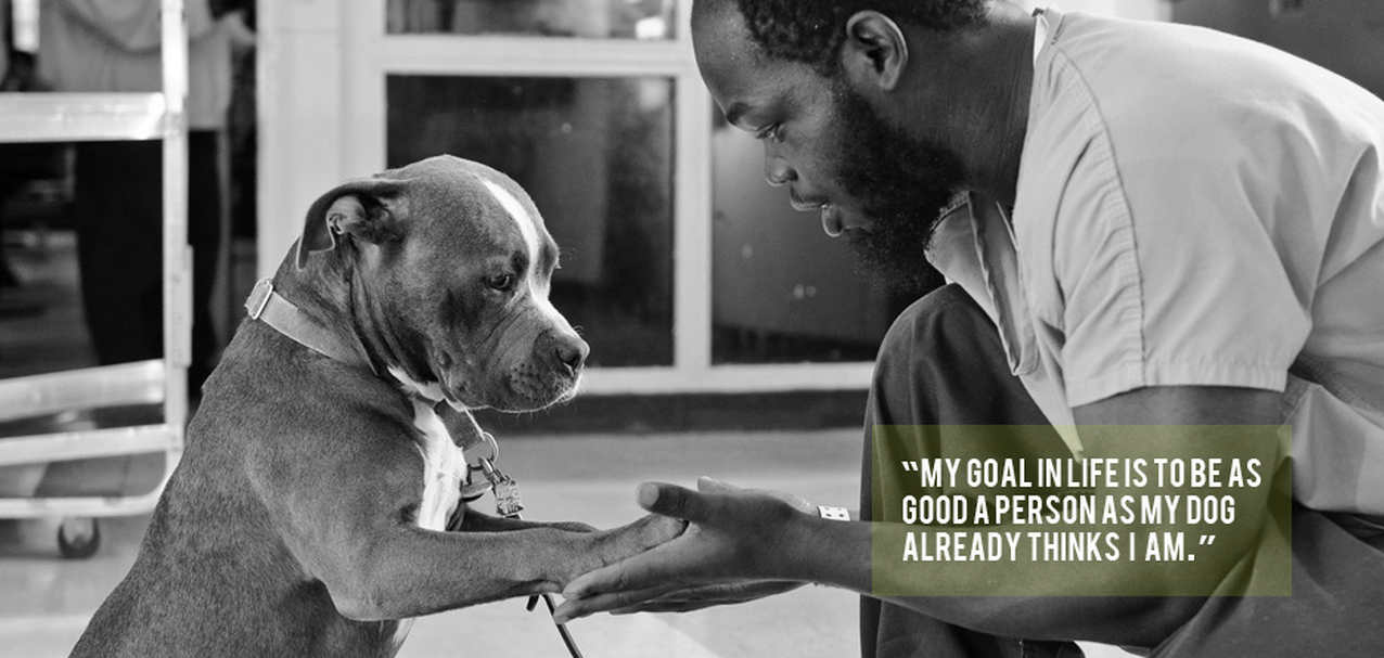 Screen Shot 2015-01-29 at 14.59.51