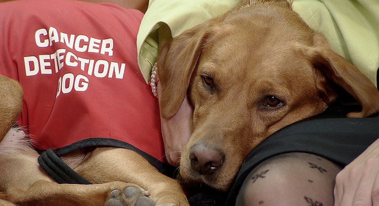 Screen Shot 2015-01-29 at 15.23.15