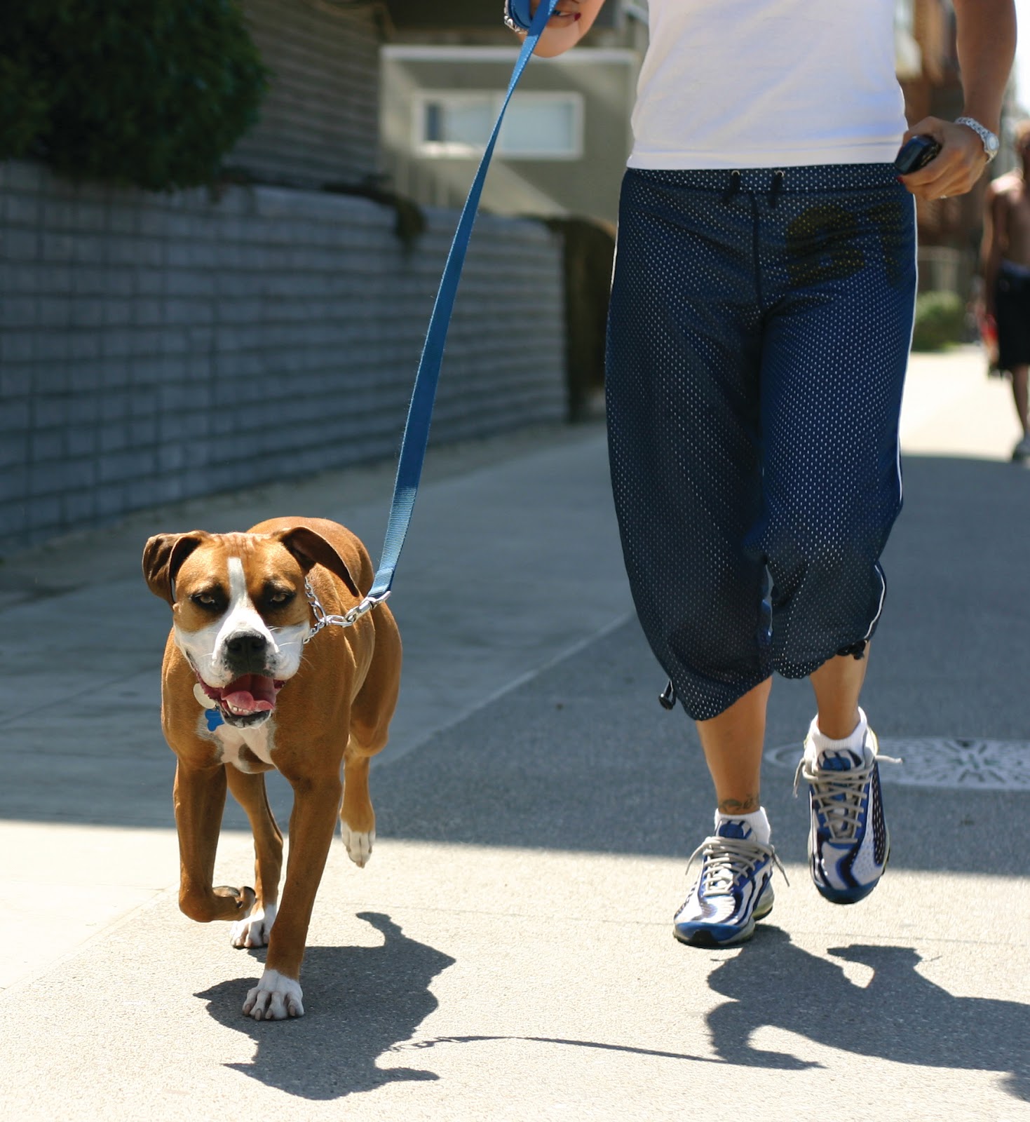 istock jogging with dog large 50 Reasons You Should Finally Get That Dog You've Always Dreamed Of BowWow Times