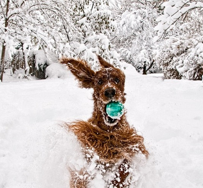 Screen Shot 2015-01-29 at 15.39.31