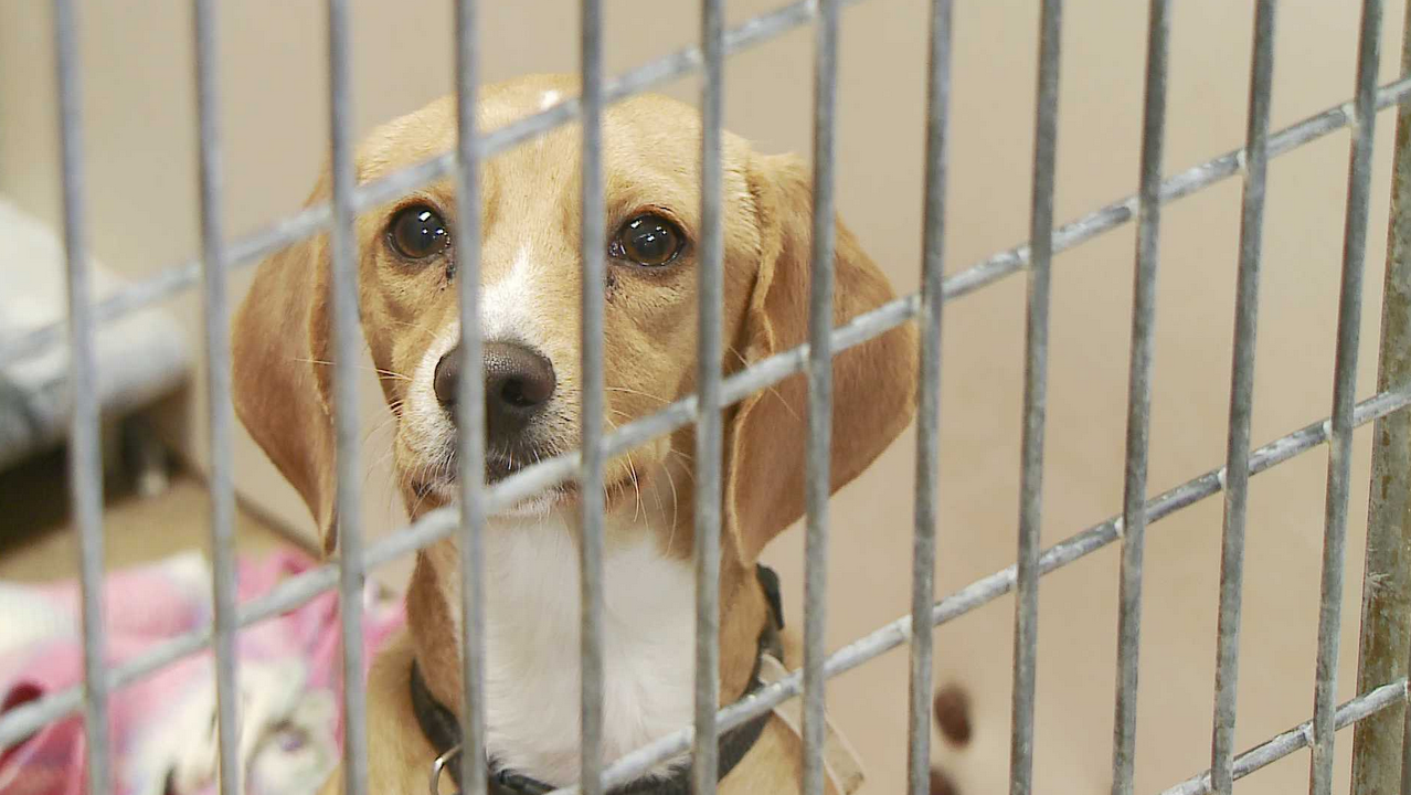 Screen Shot 2015-01-29 at 15.10.55