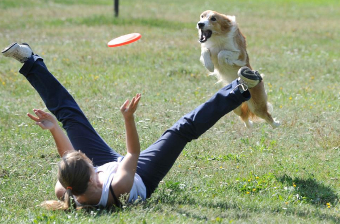 Screen Shot 2015-01-29 at 15.15.44