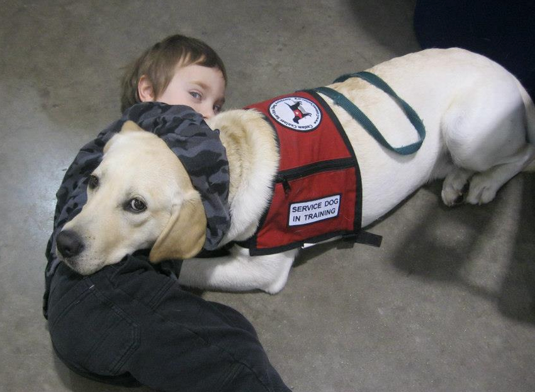 istock jogging with dog large 50 Reasons You Should Finally Get That Dog You've Always Dreamed Of BowWow Times