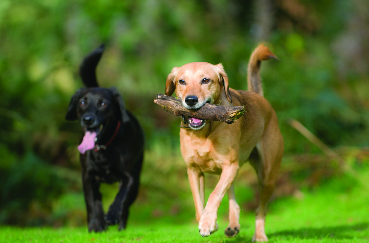 Screen Shot 2015-01-29 at 14.52.19