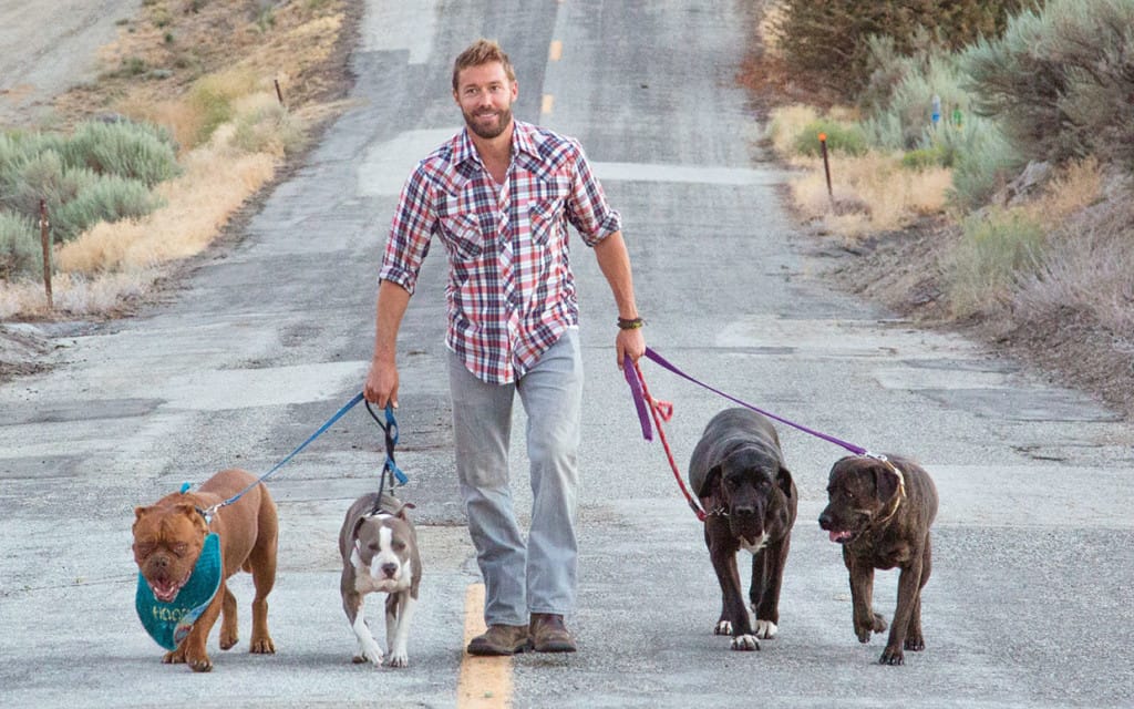 zach-skow-dog-rescue