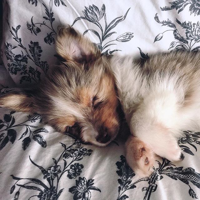 11008166_1527846300841085_1141562595_n