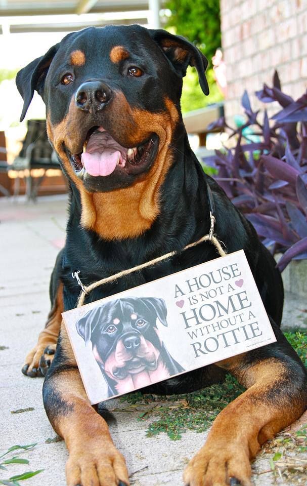 99ba16fbbea4bfee1413e498101c9fde