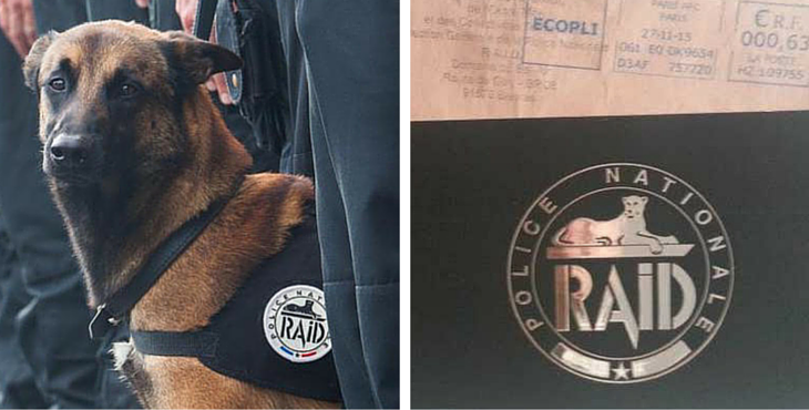 Diesel-collecte-chien-Raid-cover