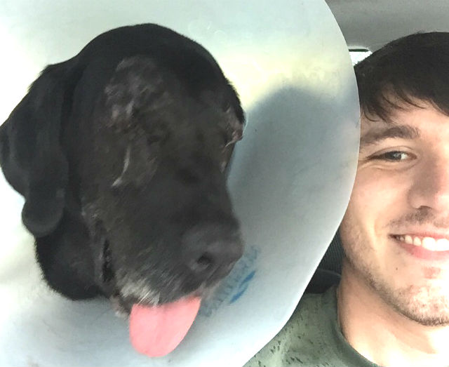 Labrador-aveugle-sauve-7