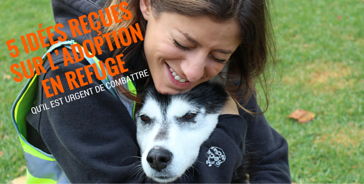 adoption-refuge