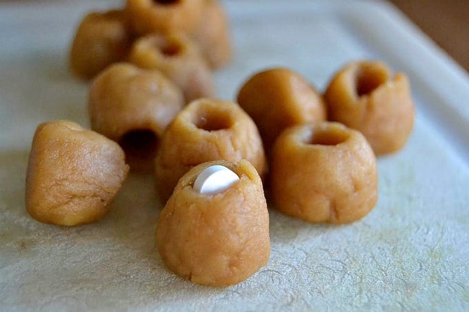 Homemade-Pill-Pockets-dogs