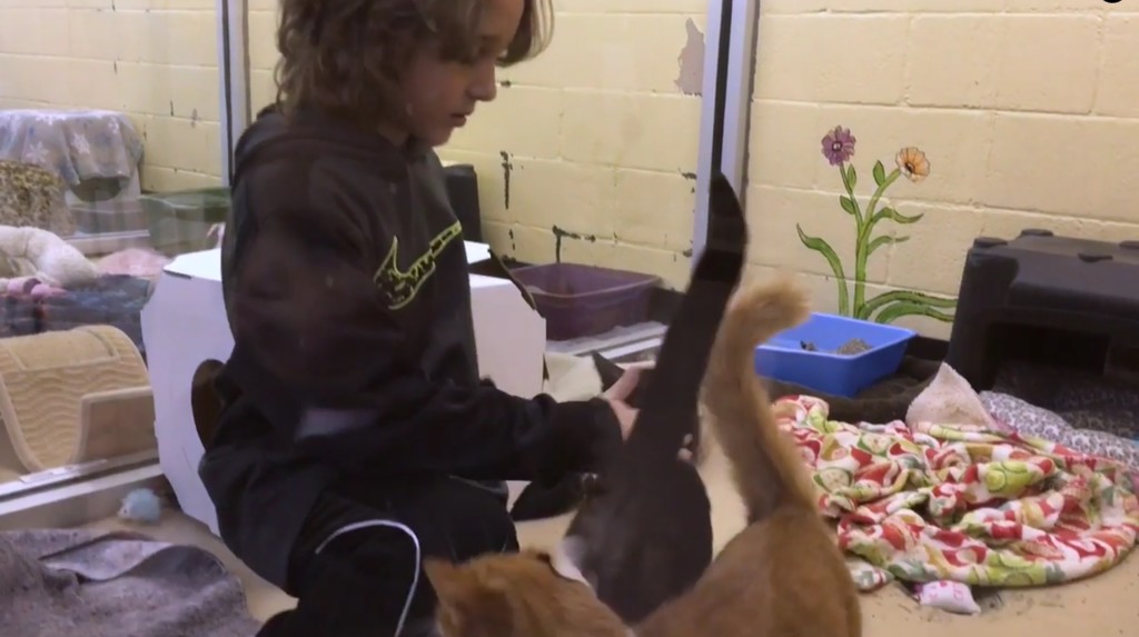 Benjamin-Walker-animal-shelter-9