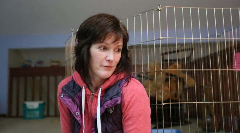 blind-cats-blind-pitbull-7