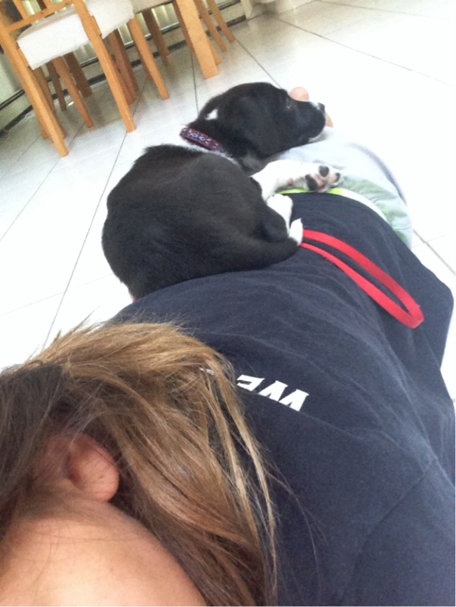 chiens-inseparables-25