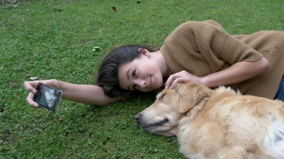 chiens-inseparables-13