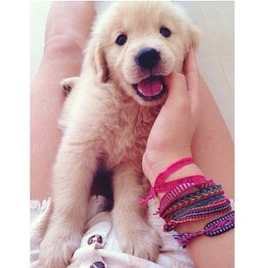 10848486_983030658377547_696419815_n