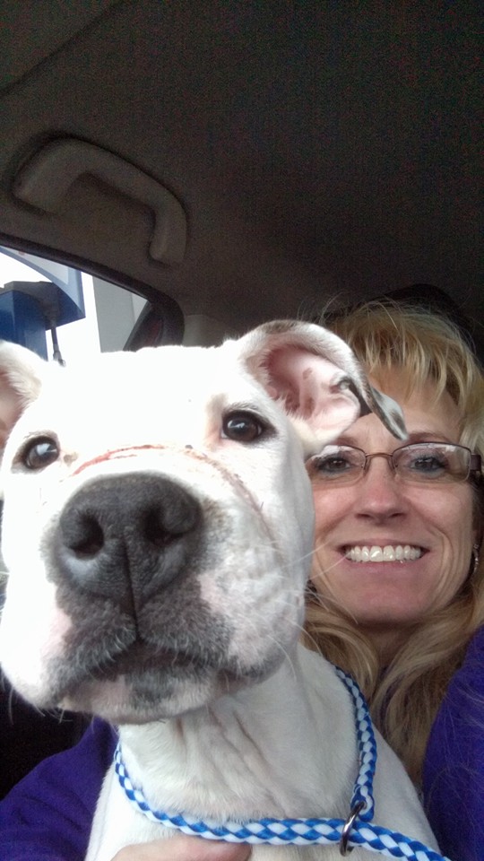 Chance-Pitbull-Richard-Cope-6