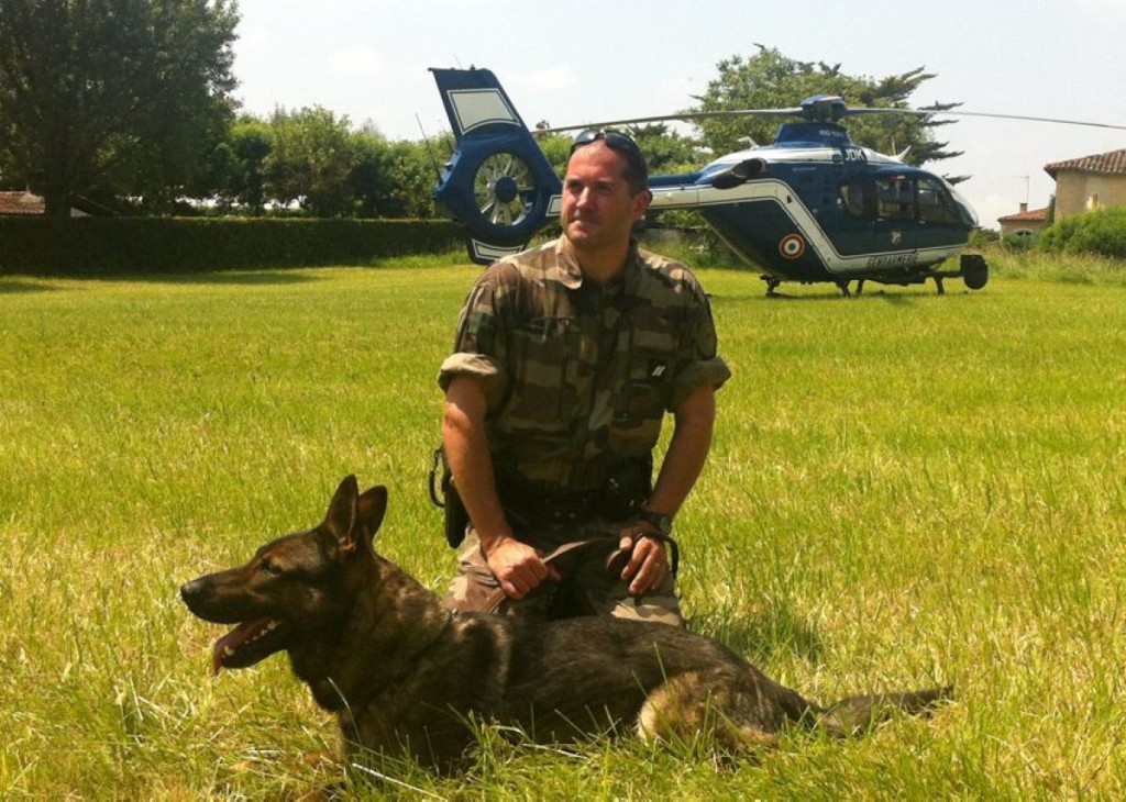 Ulka-chien-policier-1