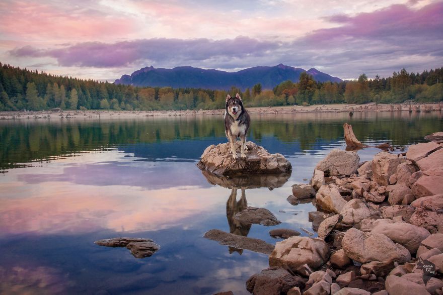 kyro-amanda-husky-12