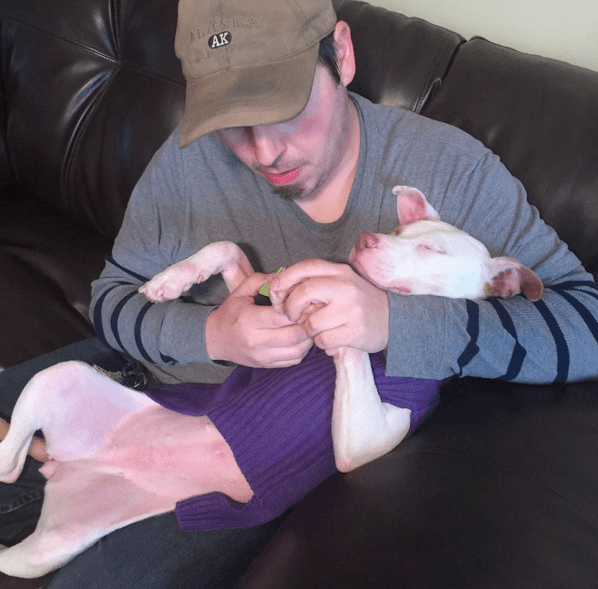 dog-vultures-rescue-9