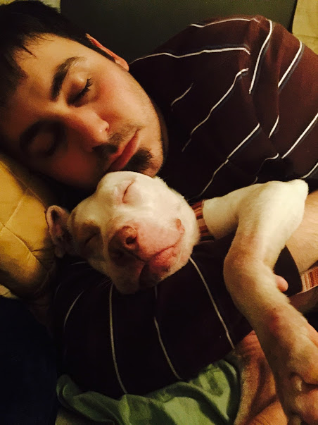 chien-vautours-sauvetage-2