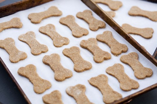 Biscuits pour chien