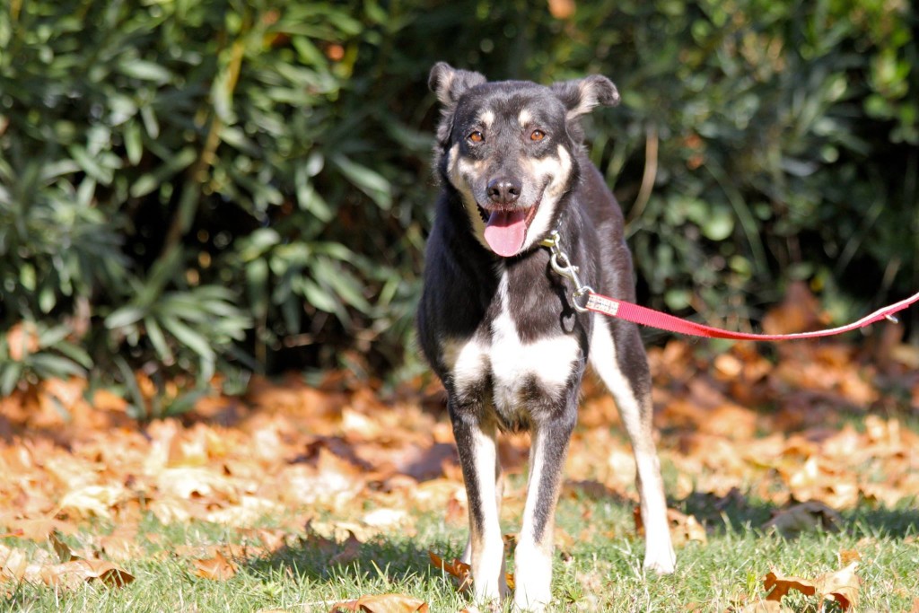 petra-transformation-10