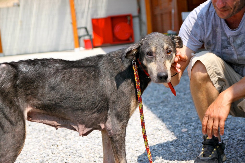 petra-transformation-11