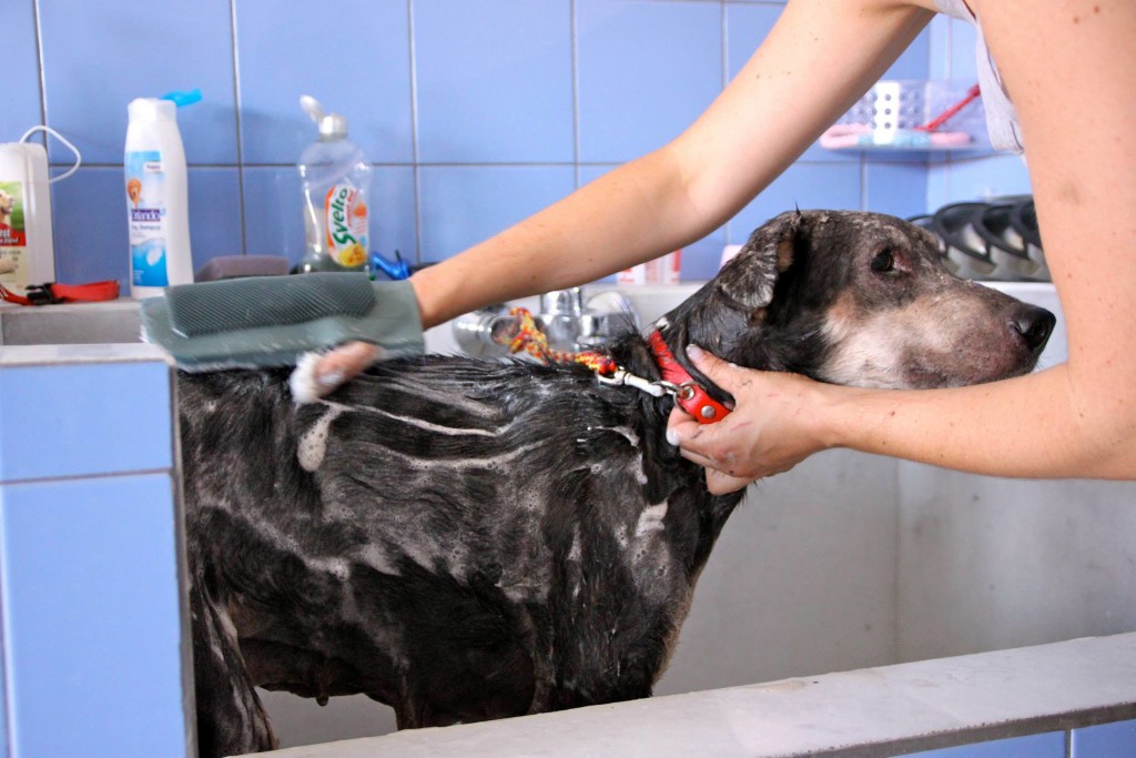 petra-transformation-6