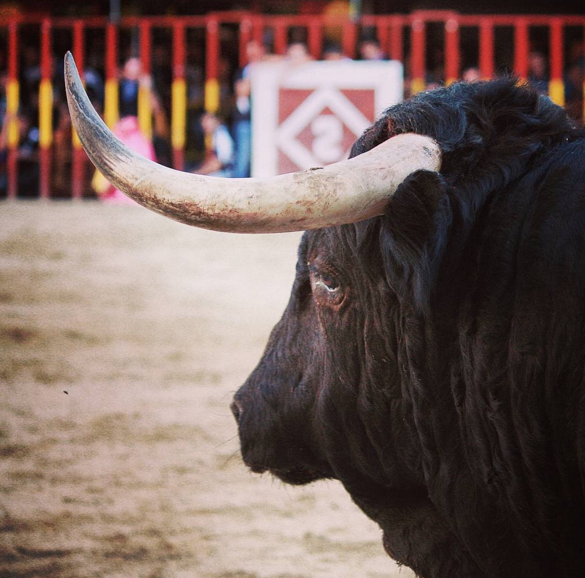 onu-corrida-recommendation-5