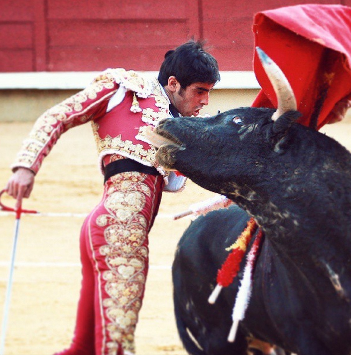 onu-corrida-recommendation-3