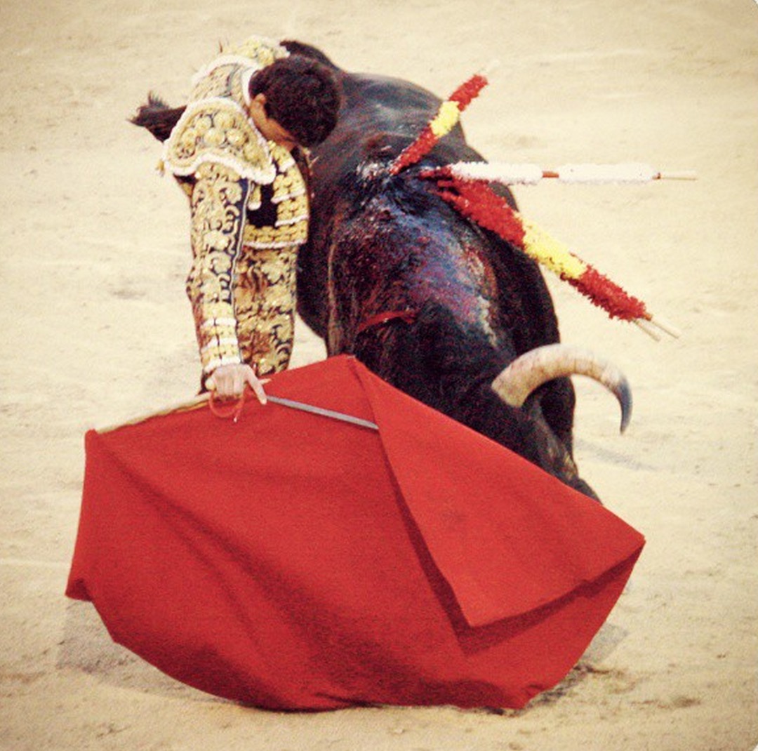 onu-corrida-recommendation-2