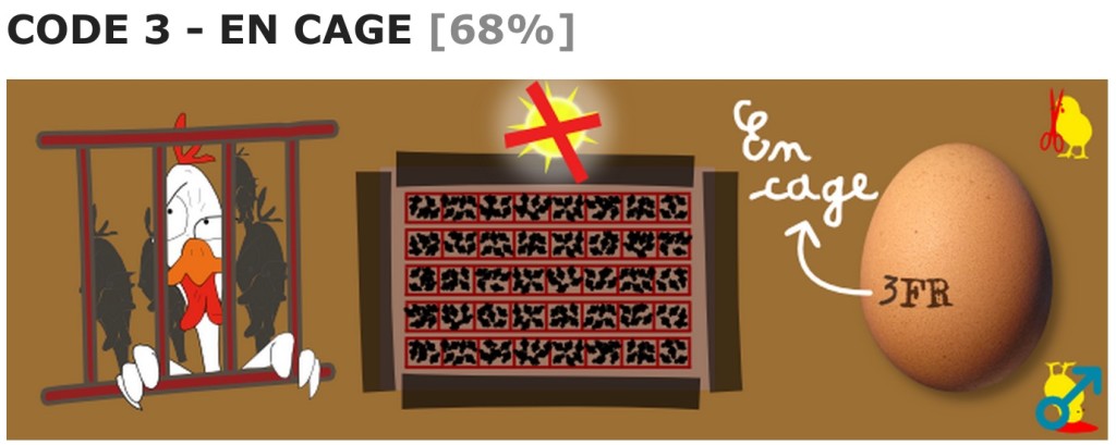 michel-augustin-l214-3