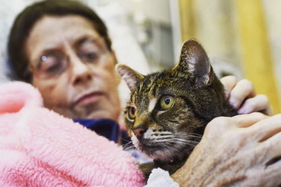 Screen Shot 2016-02-10 at 16.50.00