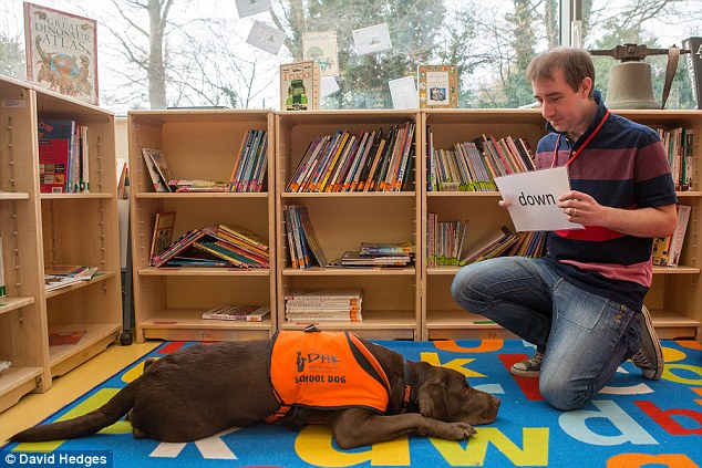 labrador-fernie-lire-5