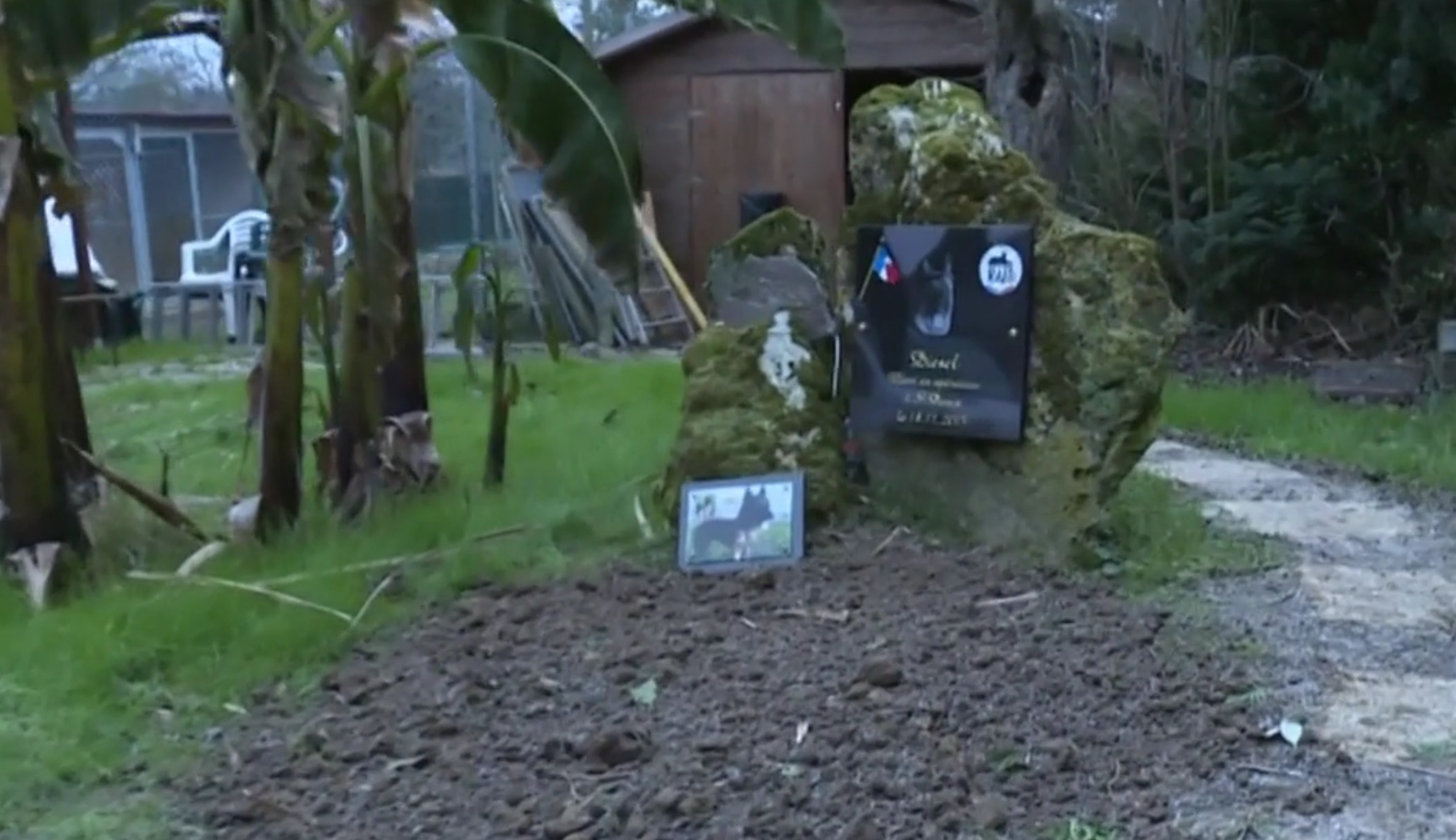 sepulture-diesel-Raid-2