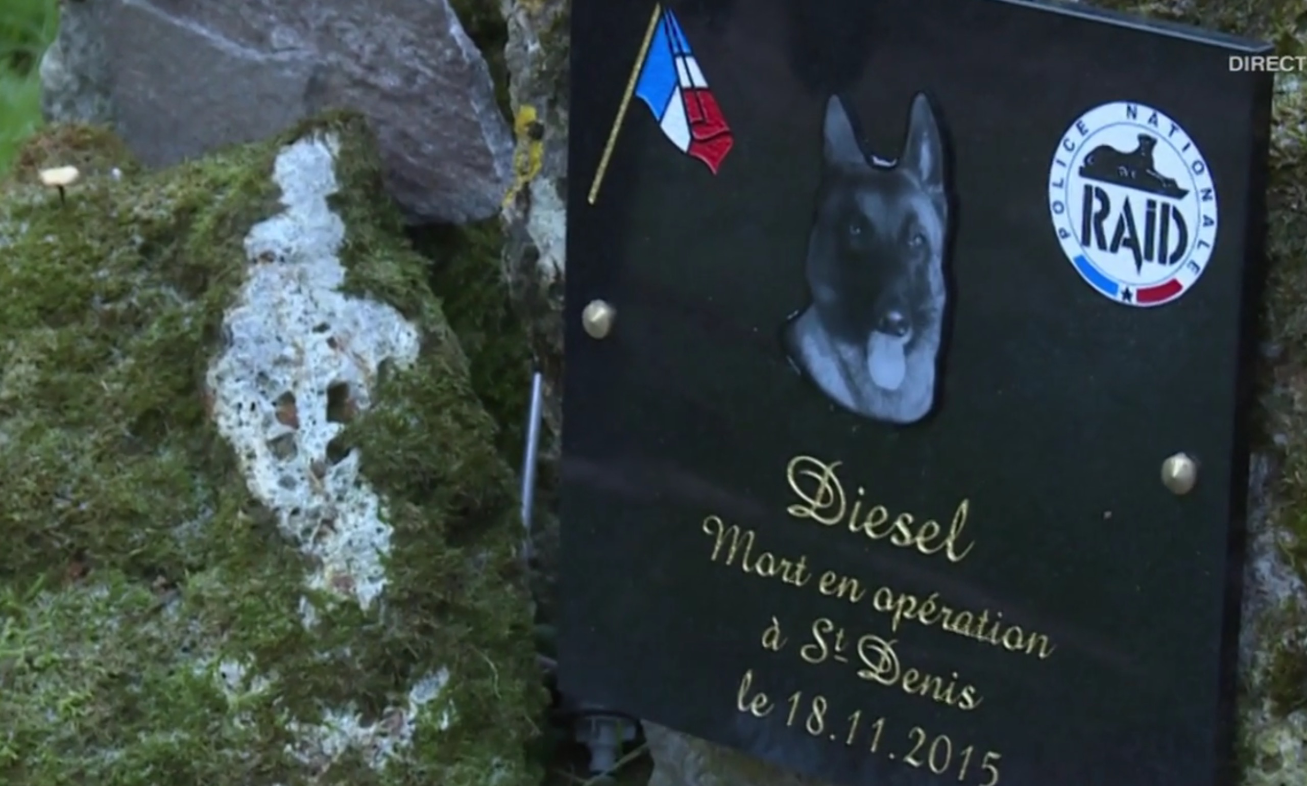 sepulture-diesel-Raid-3