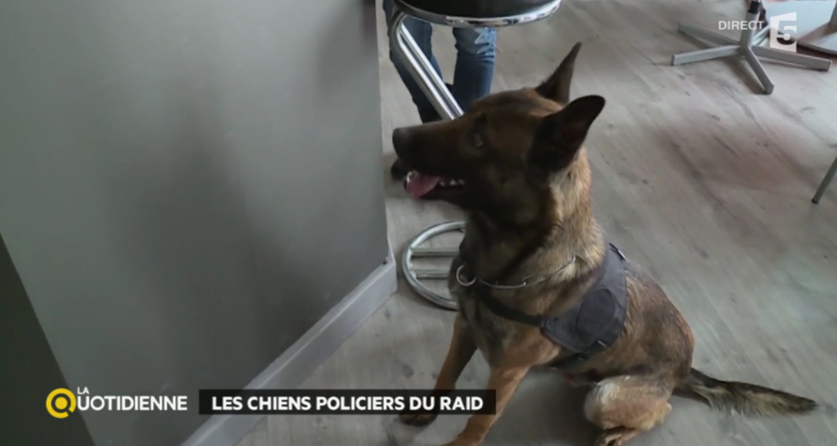 sepulture-diesel-Raid-8